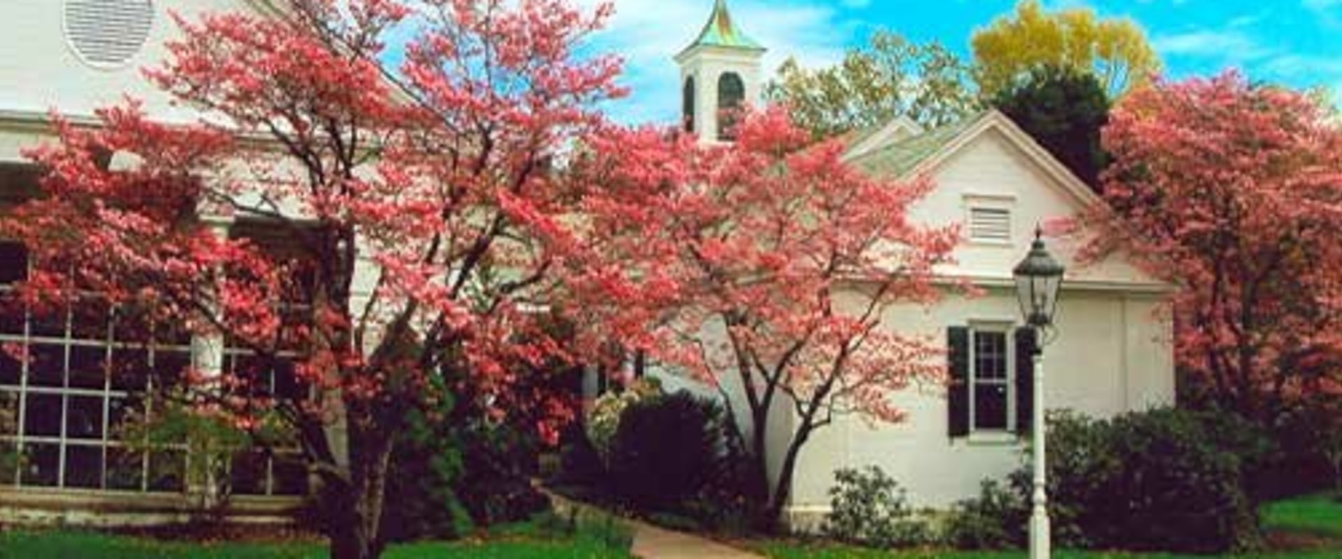 Exploring Local Amenities and Services in Weston, CT