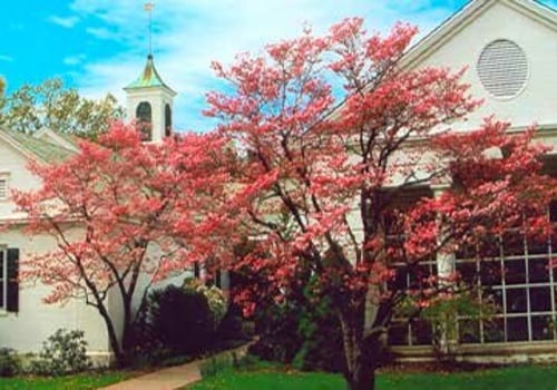 Exploring Local Amenities and Services in Weston, CT